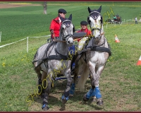2POSIEUX 0235